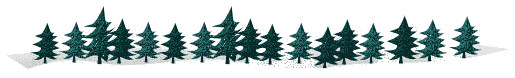 christmas-trees-in-snow-bar1