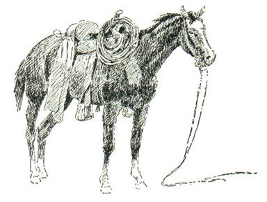 The Ocoee Ranger, May 2006